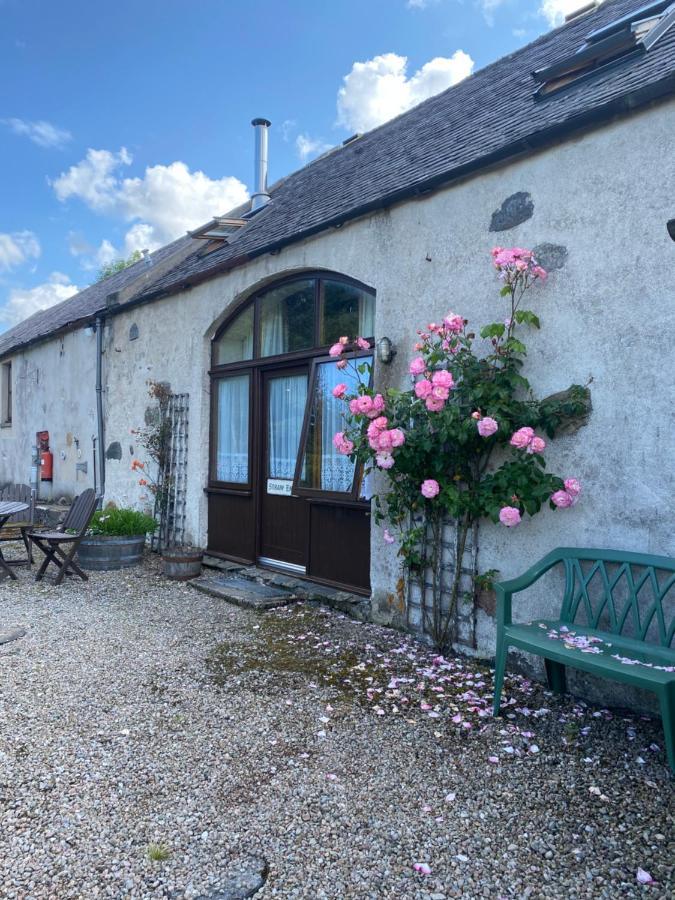 Parkmore Holiday Cottages Дафтаун Экстерьер фото